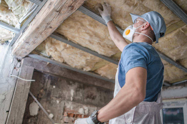 Best Eco-Friendly Insulation in Farmland, IN